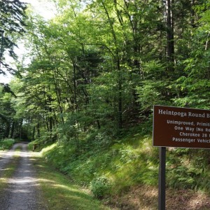 6-17-Heintooga-28-miles-Tacoma-1