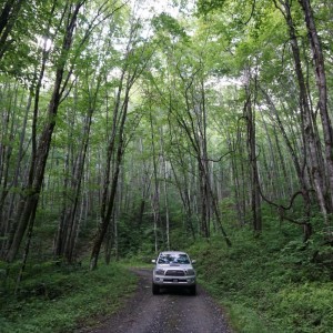 6-17-Heintooga-28-miles-Tacoma-2