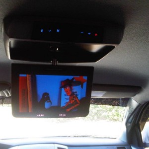 Overhead Monitor (Power Acoustik 9")