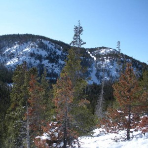 Medicine_Bow