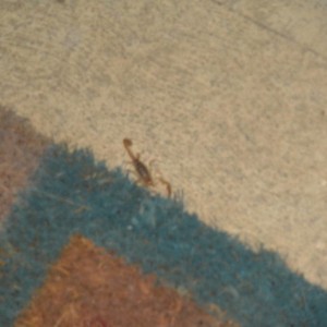 At_my_front_door_