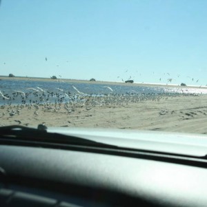 OBX_Fall_10_029