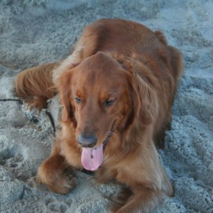 OBX_Fall_10_030