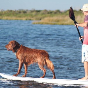 OBX_Fall_10_134