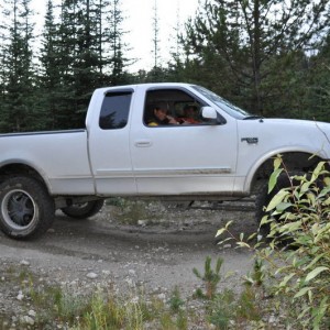 The F 150
