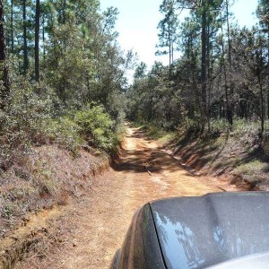 Citrus - trail ride