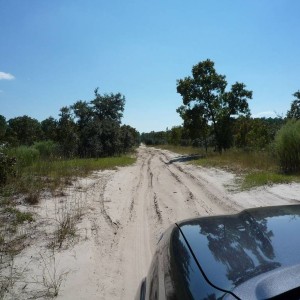 Citrus - trail ride