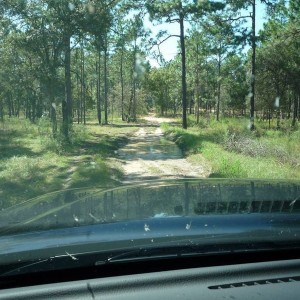 Citrus - trail ride
