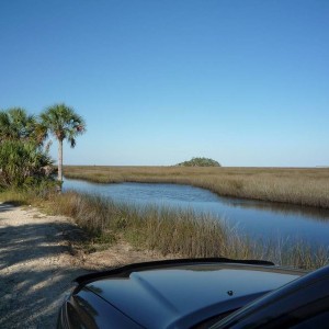 Bayport - sawgrass flats
