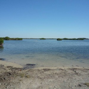 Ozello