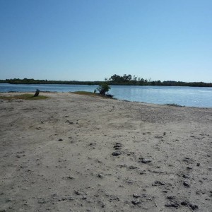 Ozello