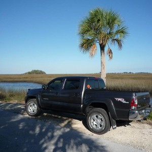 Bayport - sawgrass flats