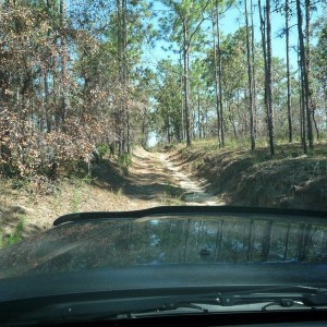 Citrus - trail ride