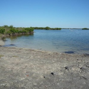 Ozello