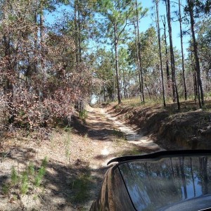 Citrus - trail ride