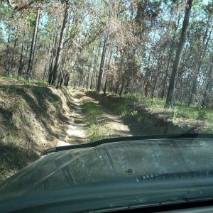 Citrus - trail ride