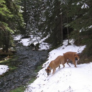 BIG_HILL_SPRINGD_016