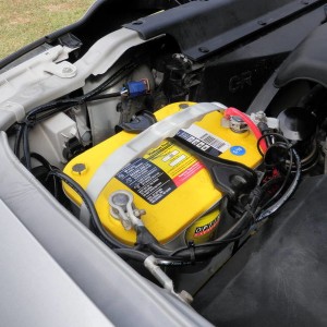 Yellow Top Optima
