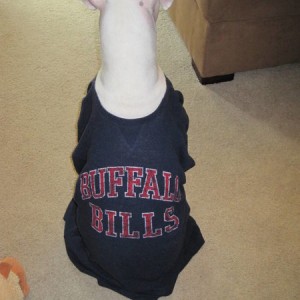 Picture2_005