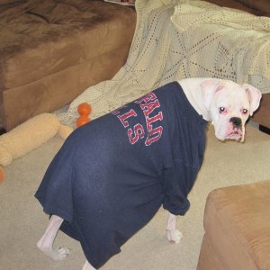 Picture2_001