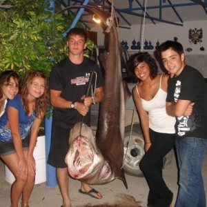 178kg. Sixgill Shark (Kefallonia, Greece)