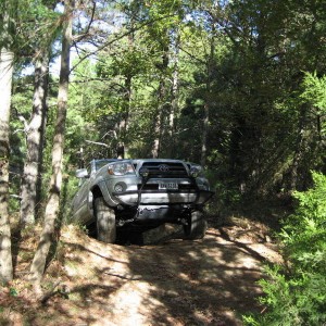 Wheelin_005