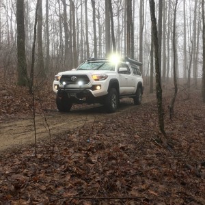 Trail off Cooper gap rd