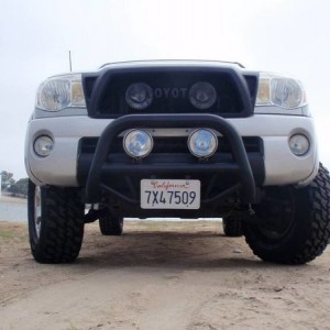Bull Guard for sale!