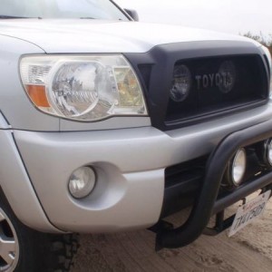 Bull Guard for sale!
