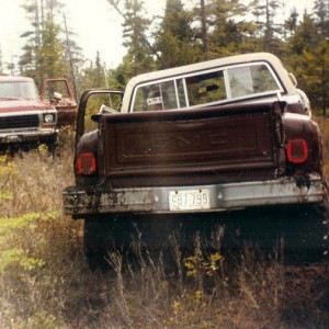 Chevshorty