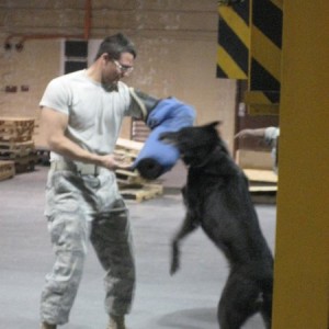 Deployment