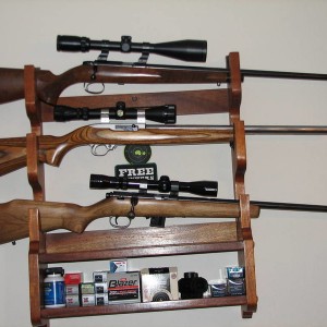 Remington 541S, Ruger 10/22T,Marlin 25 22mag