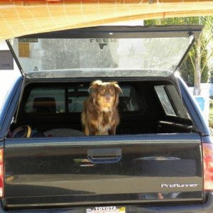 untitled111