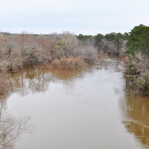 Cliffs On The Neuse SP 2