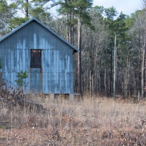 Old Barn - Carvers Creek SP