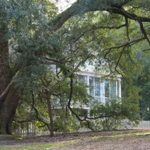 Rockefeller House Carvers Creek SP