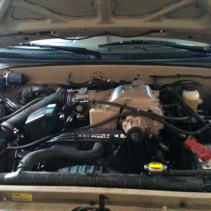 photo_5_6