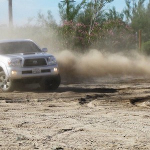 fun in the sand