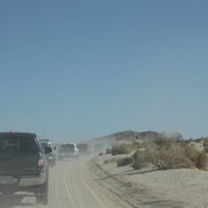 Ocotillo 11-13-10