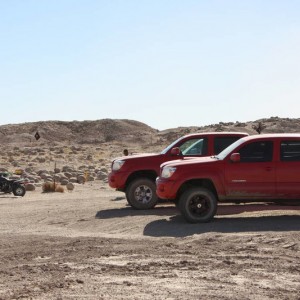 Ocotillo 11-13-10