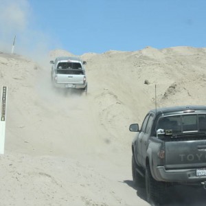 Ocotillo 11-13-10