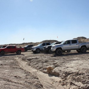 Ocotillo 11-13-10