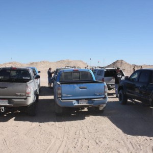 Ocotillo 11-13-10