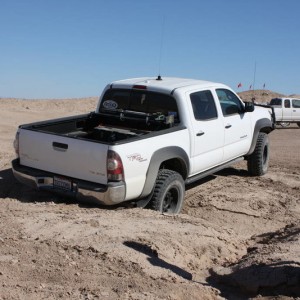 Ocotillo 11-13-10