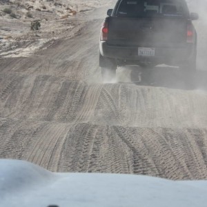 Ocotillo 11-13-10
