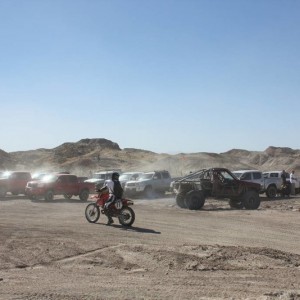 Ocotillo 11-13-10