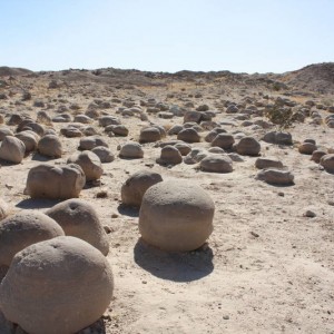 Ocotillo 11-13-10