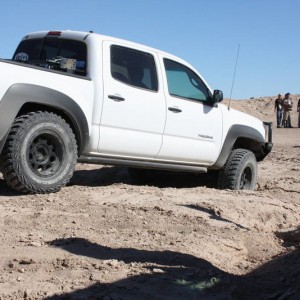 Ocotillo 11-13-10