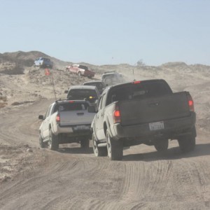 Ocotillo 11-13-10