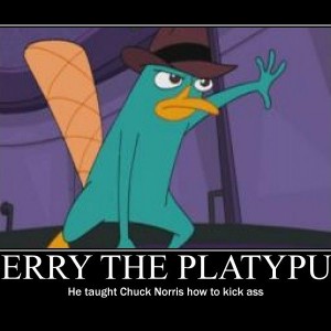 Perry